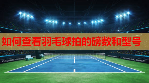 如何查看羽毛球拍的磅数和型号