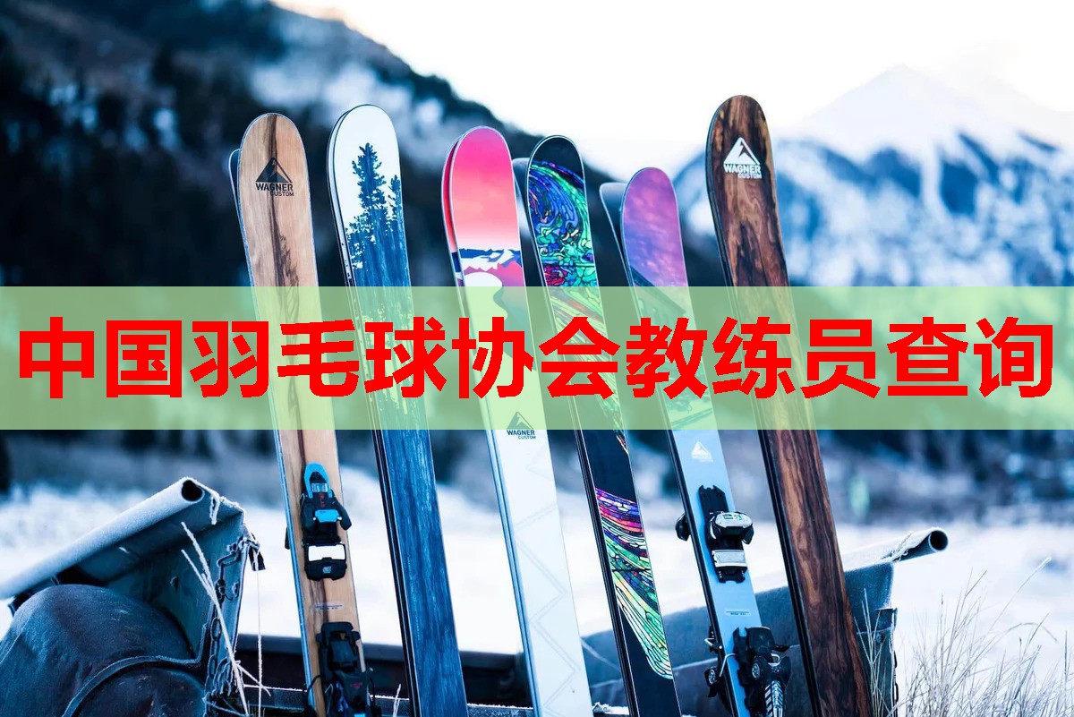 中国羽毛球协会教练员查询