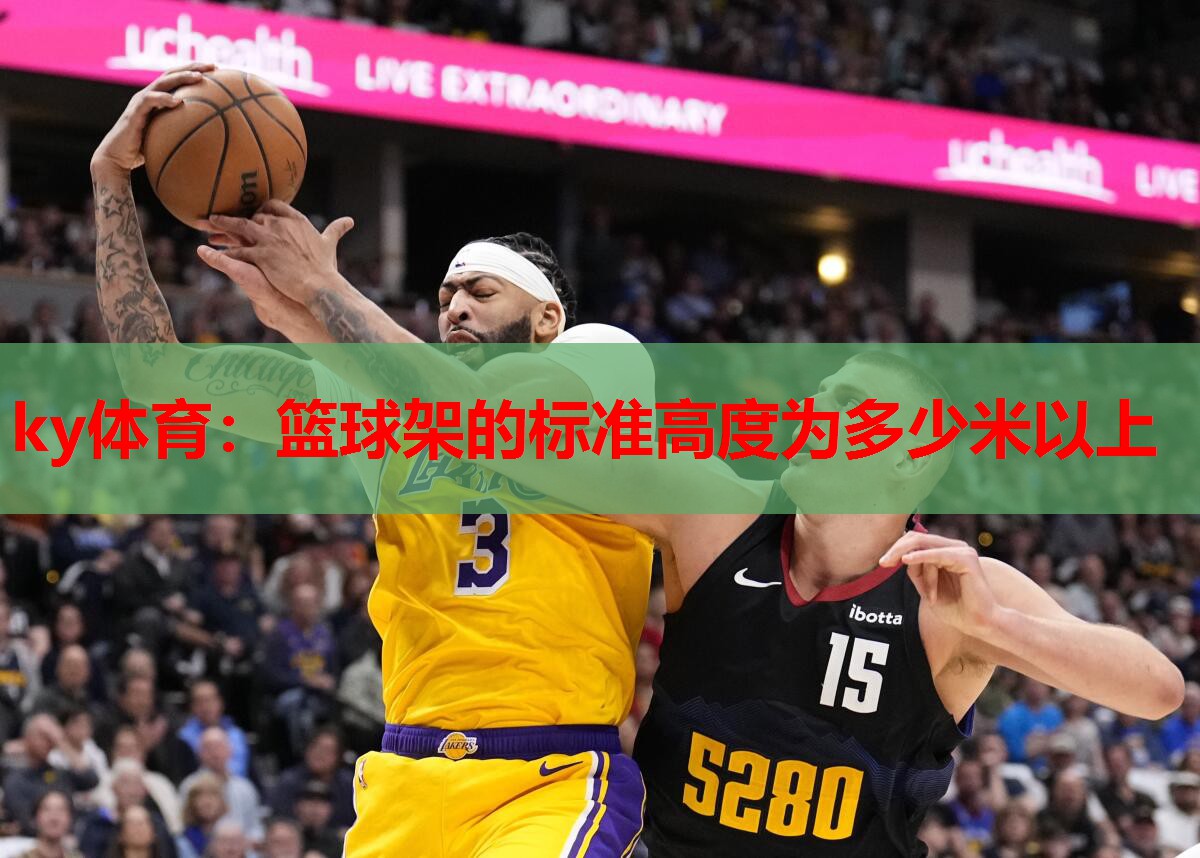 篮球架的标准高度为多少米以上