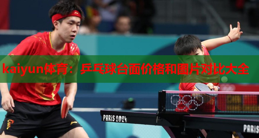 乒乓球台面价格和图片对比大全