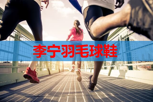 李宁羽毛球鞋