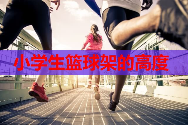小学生篮球架的高度