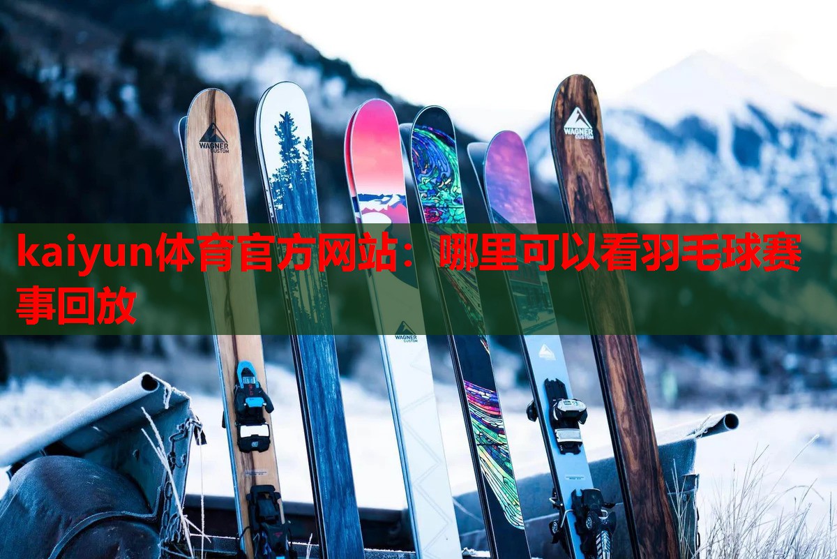 哪里可以看羽毛球赛事回放