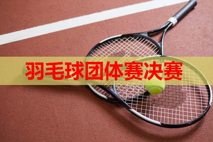 羽毛球团体赛决赛