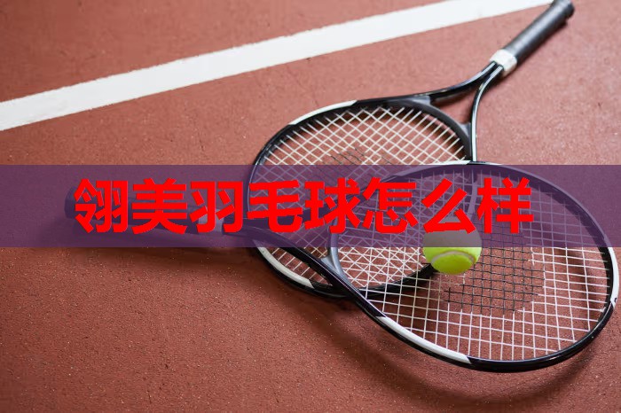 翎美羽毛球怎么样