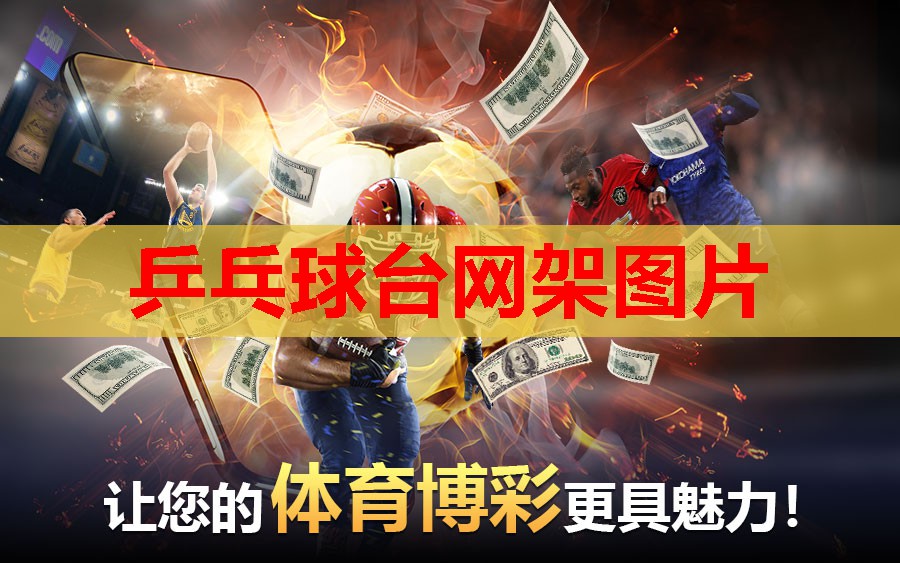乒乓球台网架图片