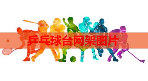 乒乓球台网架图片